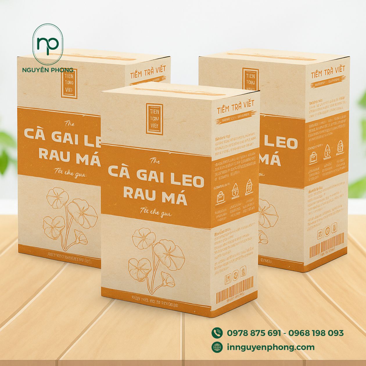 mẫu hộp đựng cà gai leo